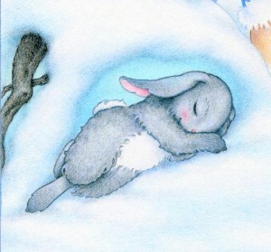 STORY DETAIL BUNNY